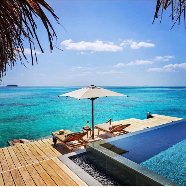 Зонт профессиональный 2х2 м Avocado Clips 2000х2000 мм