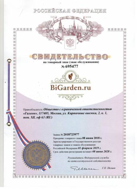 Подвесное кресло в виде капли "Tropica Black BS" Зеленая подушка Подвесное кресло в виде капли "Tropica Black BS" Зеленая подушка